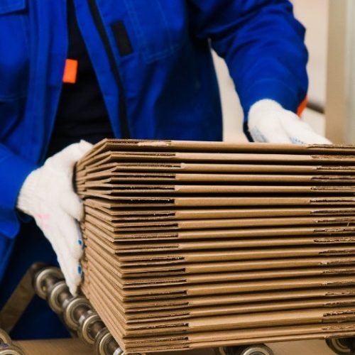 Production line for the production of cardboard and corrugated cardboard in the factory